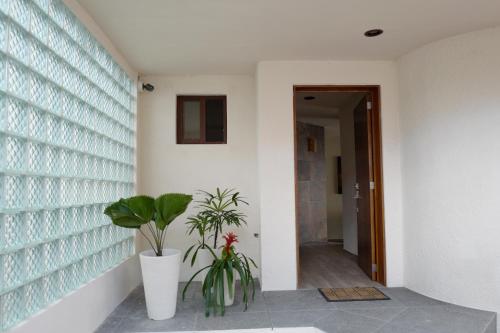 a hallway with two plants in a building at Villas La Ceiba in Playa del Carmen