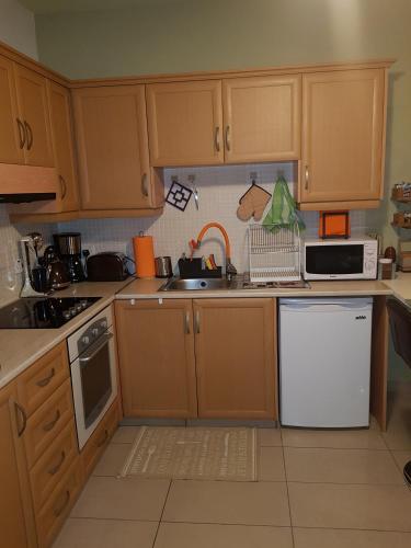 a kitchen with wooden cabinets and a white refrigerator at Ria Court 33 in Larnaka