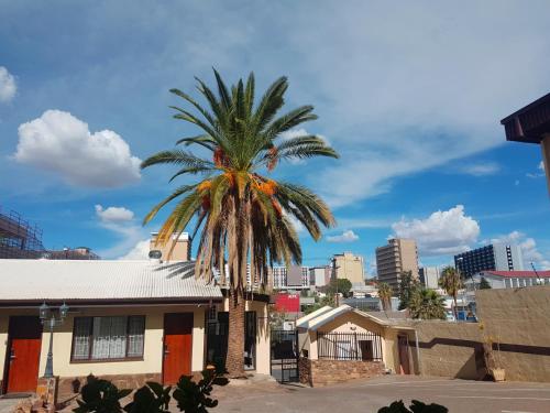 a palm tree in front of a house at hotel pension steiner in Windhoek