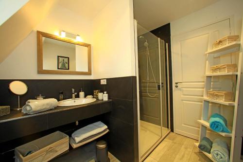 een badkamer met een wastafel en een douche bij La Malonie in Sarlat-la-Canéda