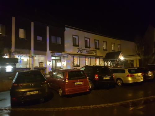 a group of cars parked in a parking lot at night at Pension-Puttlachtal in Pottenstein
