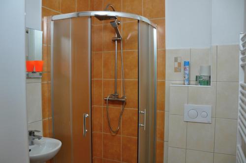 y baño con ducha y lavabo. en Penzion Rankl-Sepp, en Stachy