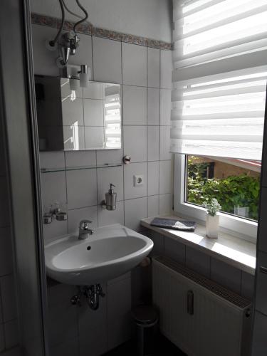 uma casa de banho com um lavatório, um espelho e uma janela em Ferienwohnung am See em Malchow