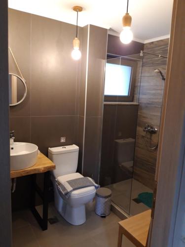a bathroom with a toilet and a sink and a shower at Renaissance Modern Stone House at Vryses - Private pool in Vryses