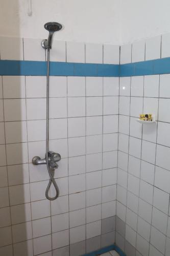 a shower in a bathroom with blue and white tiles at Hotel Aurore Lomé in Lomé