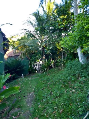 a garden with palm trees and a dirt road at Chalé na Praia da Tiririca in Itacaré