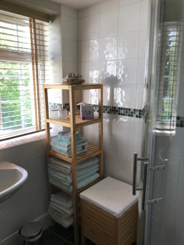 a bathroom with a shower and a shelf with towels at Ivy Cottage in Stawell