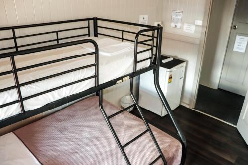 a bunk bed in a small room with a ladder at The Jack Backpackers in Cairns