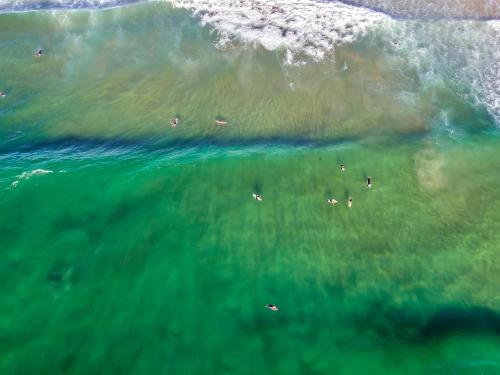 an aerial view of people swimming in the ocean at Surf Beach Motel Port in Port Macquarie