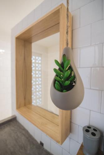 a potted plant in a mirror on a wall at Chernchan Hostel in Chanthaburi