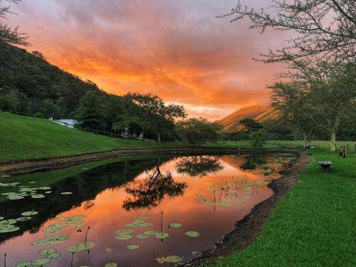 a pond with lily pads in the water with a sunset at Somerset Gift Getaway Farm in Swellendam