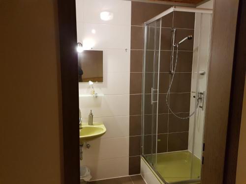 a bathroom with a shower and a sink at Pension-Puttlachtal in Pottenstein