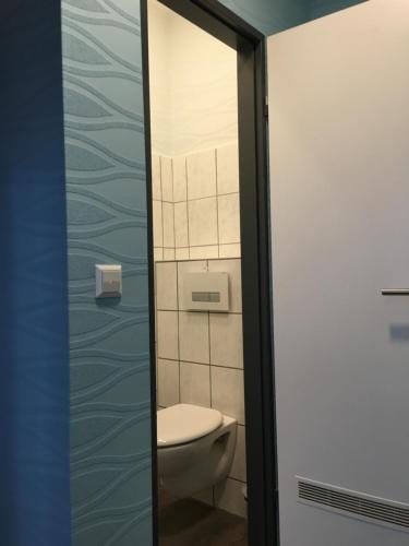 a bathroom with a toilet and a mirror at Astrid's Pension in Winterberg