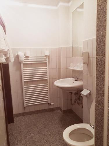 La salle de bains est pourvue de toilettes et d'un lavabo. dans l'établissement Economy Adler, à Golling an der Salzach