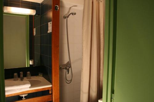 La salle de bains est pourvue d'un rideau de douche et d'un lavabo. dans l'établissement Hôtel La Chartreuse, à Toulouse