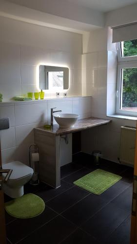 a bathroom with a sink and a toilet at Pension-Puttlachtal in Pottenstein