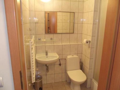 a bathroom with a toilet and a sink at DS Za Kolumnami in Krakow