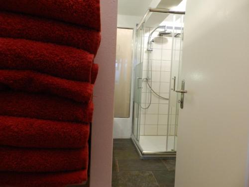 a bathroom with red towels next to a shower at Blue Wall BnB in Gebenstorf