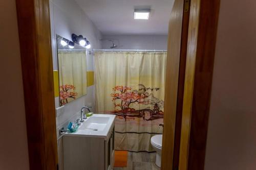 a bathroom with a sink and a toilet and a shower at Cabañas La Lila in Huinganco