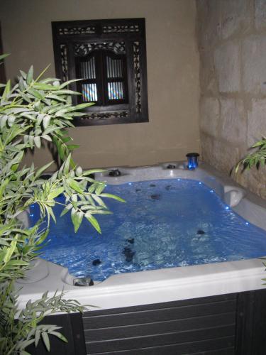 a bath tub with blue water in a bathroom at Jim cosy & spa in Saint-Hilaire-dʼOzilhan