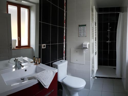 a bathroom with a white toilet and a sink at Hôtel du Soleil in Aillon-le-Jeune