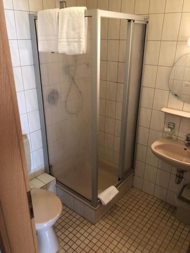 La salle de bains est pourvue d'une douche, de toilettes et d'un lavabo. dans l'établissement Lindenhof Keulos, à Künzell