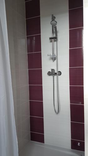 a shower in a bathroom with red and white tiles at Hôtel du Soleil in Aillon-le-Jeune