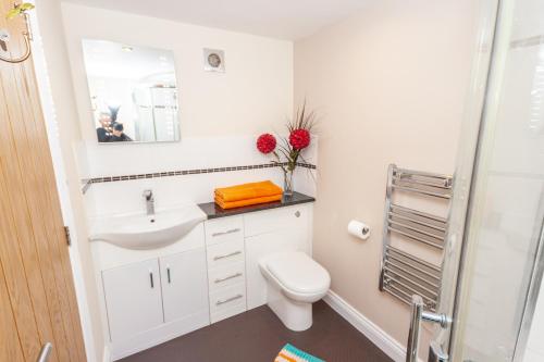 ein Badezimmer mit Toilette, Waschbecken und Spiegel in der Unterkunft Bodafon Hall Cottages in Llandudno
