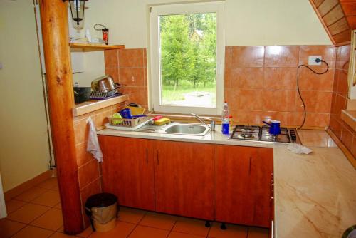 eine kleine Küche mit einem Waschbecken und einem Fenster in der Unterkunft Doi Frati in Topliţa