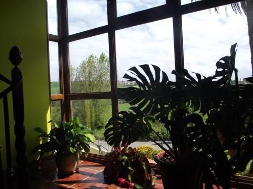 a room with a window with potted plants at Hotel Marfrei in Hinojedo