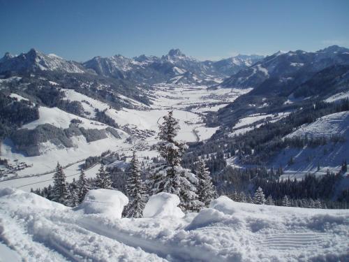 a snow covered mountain with trees and a valley at Haus Baumgartner in Schattwald