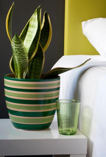 a plant in a striped vase on a table next to a glass at Hostal Totsompops in Colera
