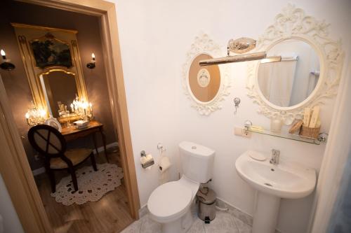 uma casa de banho com um WC, um lavatório e um espelho. em Boutique Hotel Dubrovskiy em Sergiyev Posad