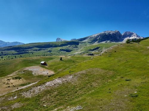 a grassy hill with a barn on top of it at Le p'tit Cozy in Le Dévoluy