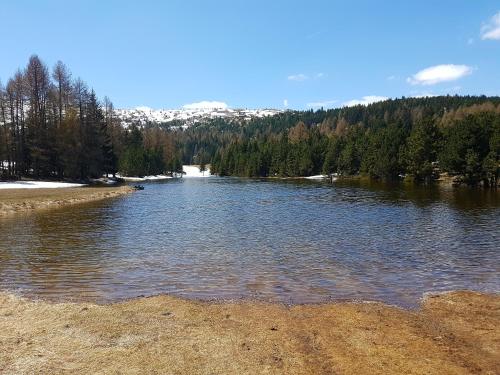 a lake with trees and mountains in the background at Le p'tit Cozy in Le Dévoluy