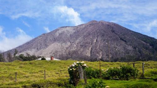 a mountain in the middle of a field with flowers at Hospedaje La Naciente in Turrialba