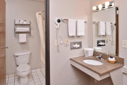 een badkamer met een toilet, een wastafel en een spiegel bij Cottonwood Inn and Conference Center in South Sioux City