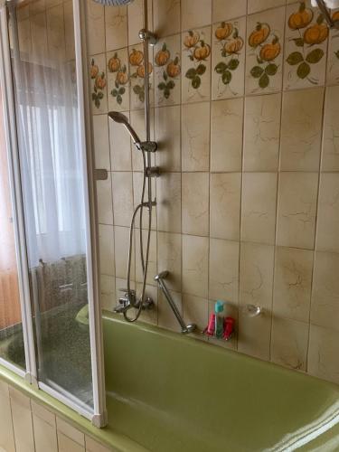 a shower in a bathroom with a green tub at Ferien Haus am Bach in Föhren