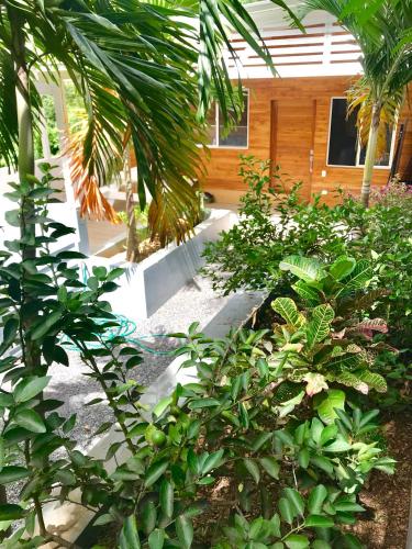 a garden with trees and plants and a house at Oleadas Maderas in San Juan del Sur