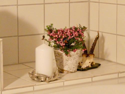 a candle and a potted plant on a bathroom counter at Landfein-Villa Marathon in Winterberg