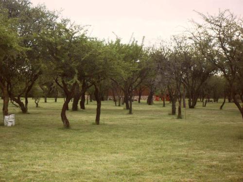 La Urdimbre – Photos 4