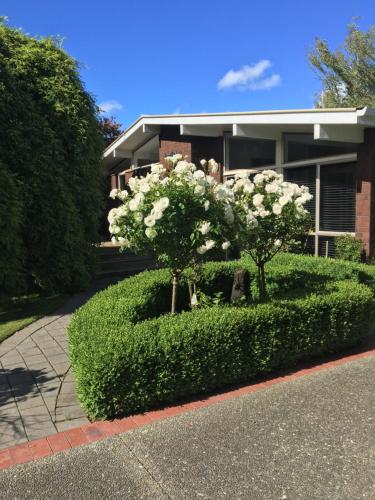 a house with two trees with white flowers in front of it at Quiet Boutique Generous Breakfast in Palmerston North