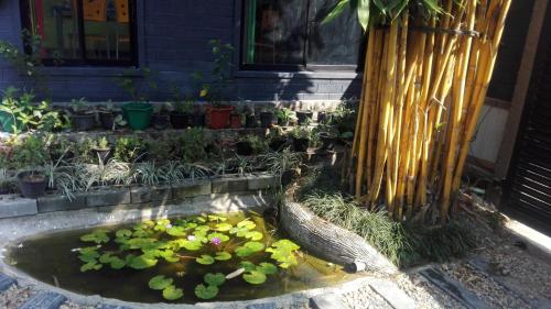 a pond with flowers and plants in front of a house at Mango Roots in Gampaha