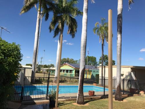 a pool with palm trees in front of a house at Wagon Wheel Motel in Cloncurry