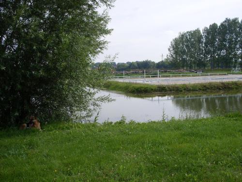 a person sitting in the grass next to a river at KARÁM Vendégház és Lakásétterem in Nagybajcs