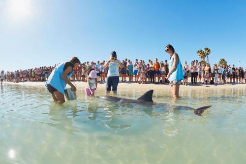 Gallery image of RAC Monkey Mia Dolphin Resort in Monkey Mia