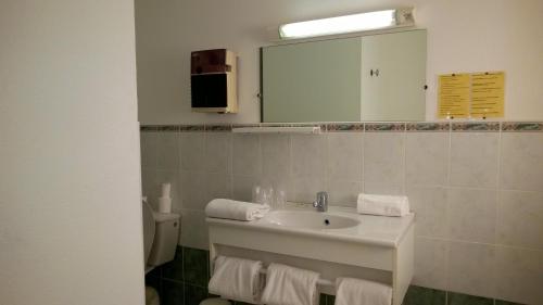 a bathroom with a sink and a mirror and a toilet at Hotel Du Rocher in Le Caylar