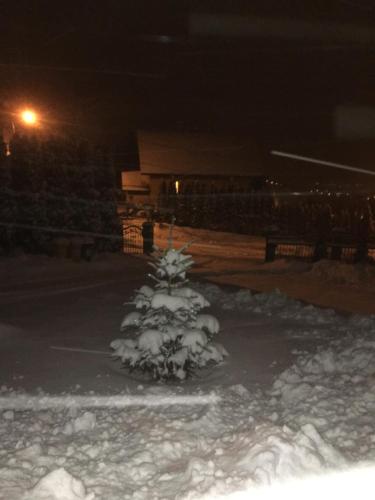 a small christmas tree covered in snow at night at Silver Residence in Rabka