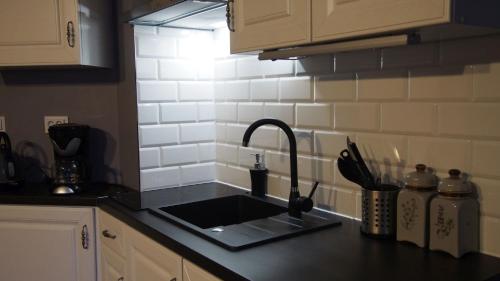 a kitchen counter with a sink in a kitchen at Apartamenty Villa Akant in Piechowice