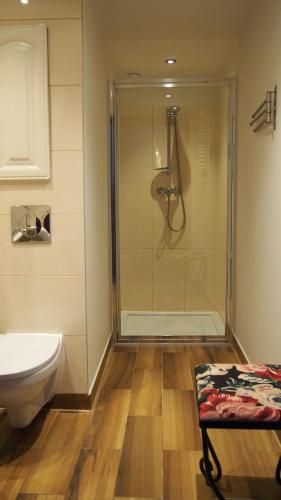 a bathroom with a shower and a toilet at Apartamenty Villa Akant in Piechowice